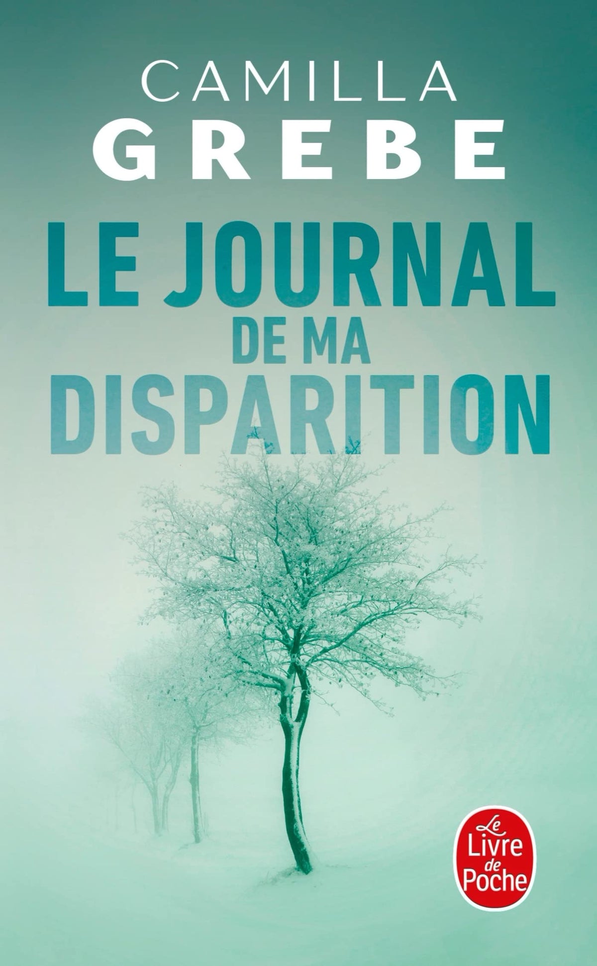 Le Journal de ma disparition - Livre d'occasion