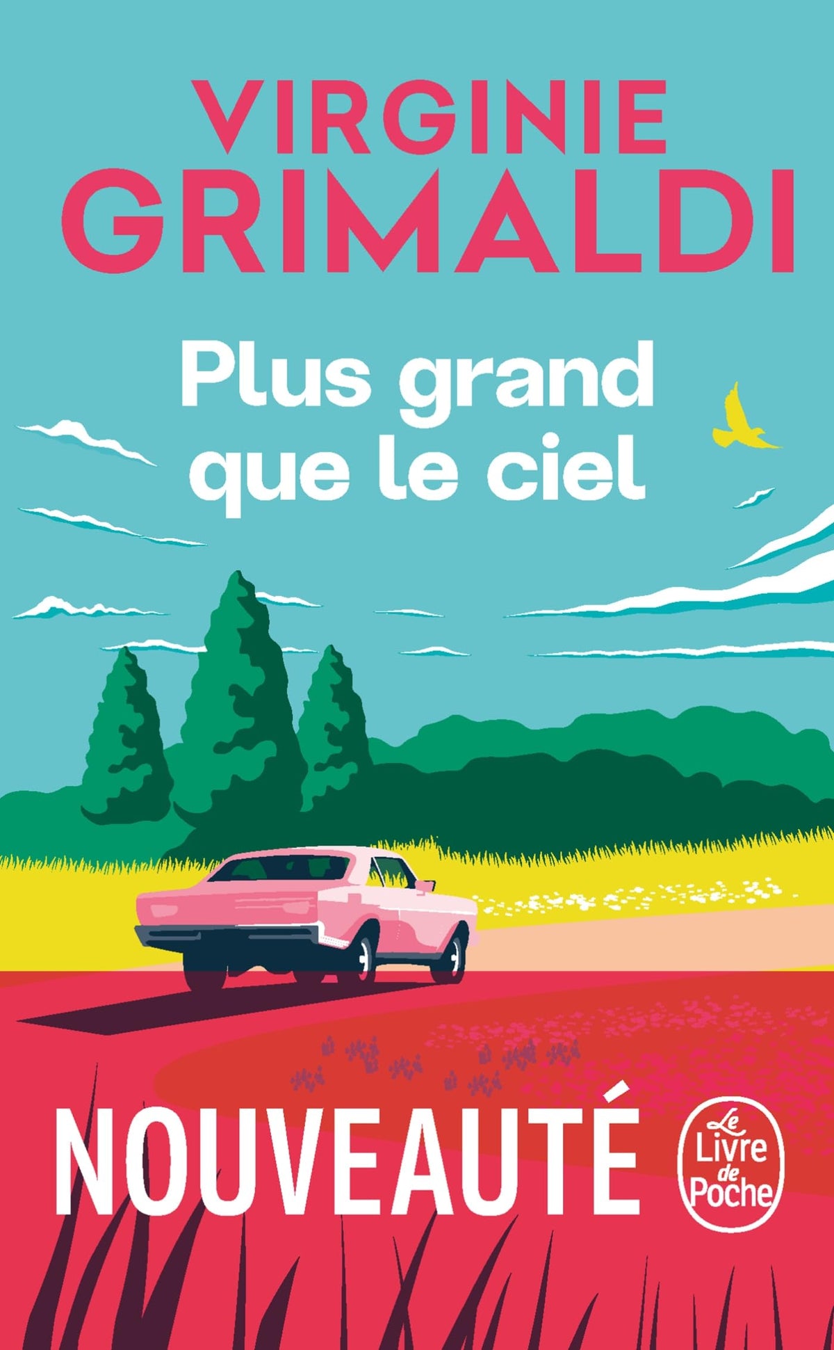 Plus grand que le ciel - Livre d'occasion