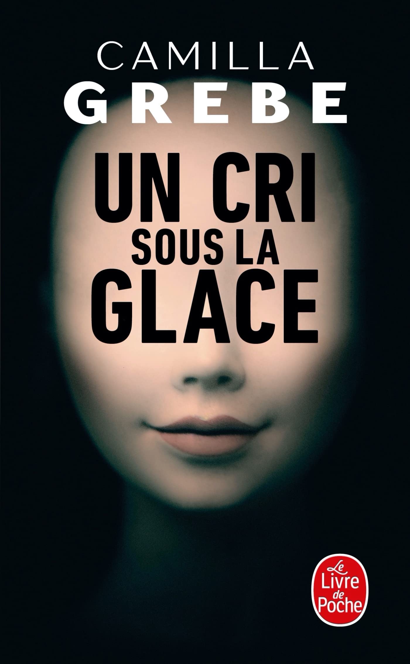 Un cri sous la glace - Livre d'occasion