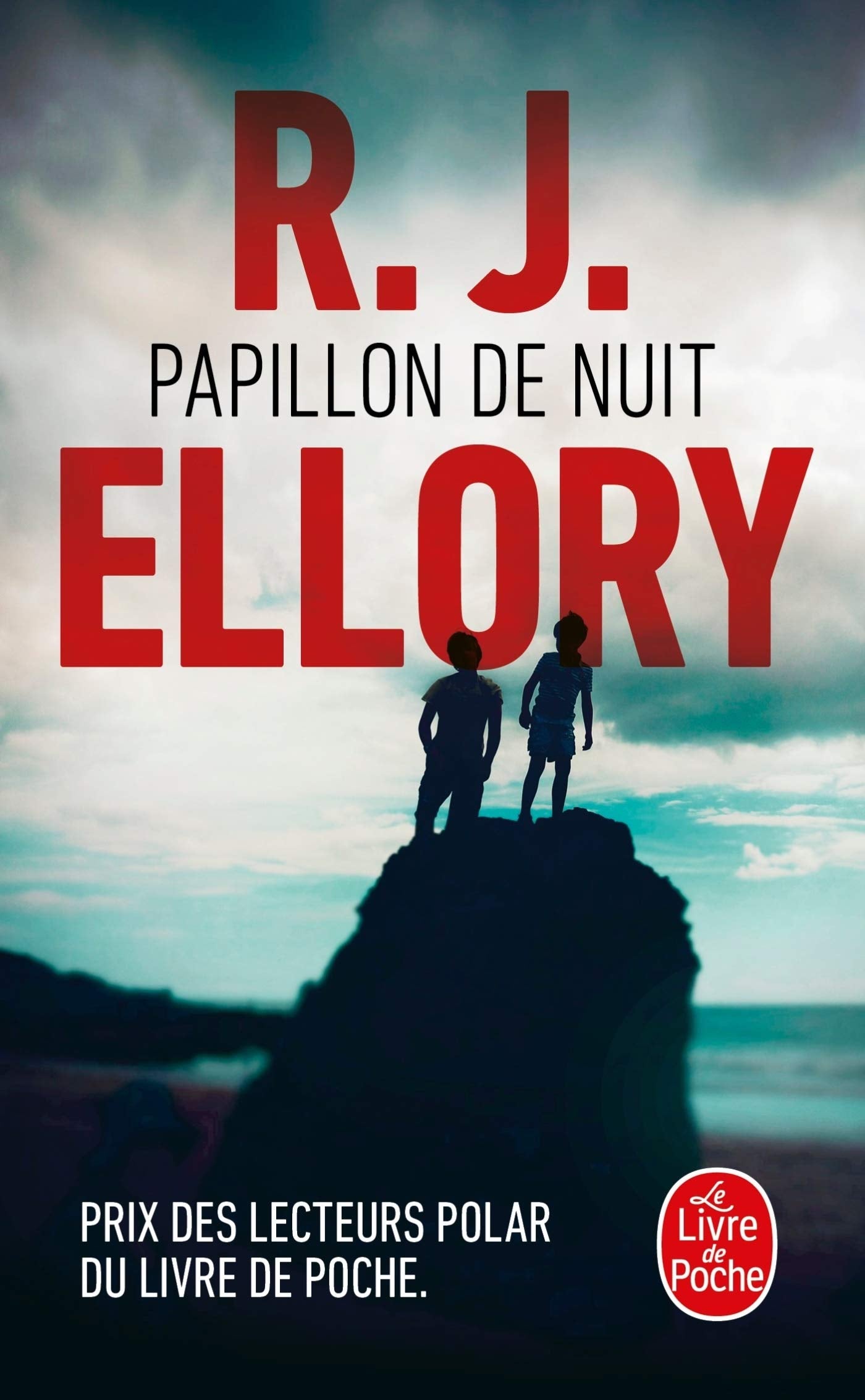 Papillon de nuit - Livre d'occasion