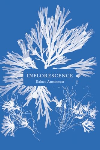 Inflorescence - Livre d'occasion