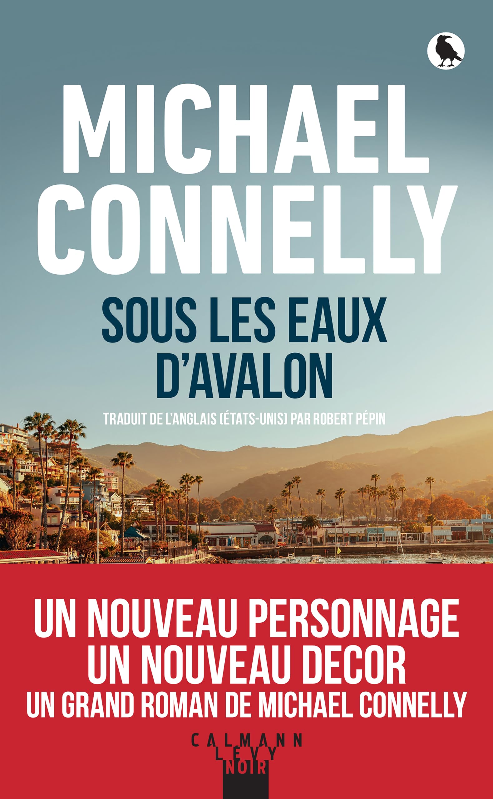 Sous les eaux d'Avalon - Livre d'occasion