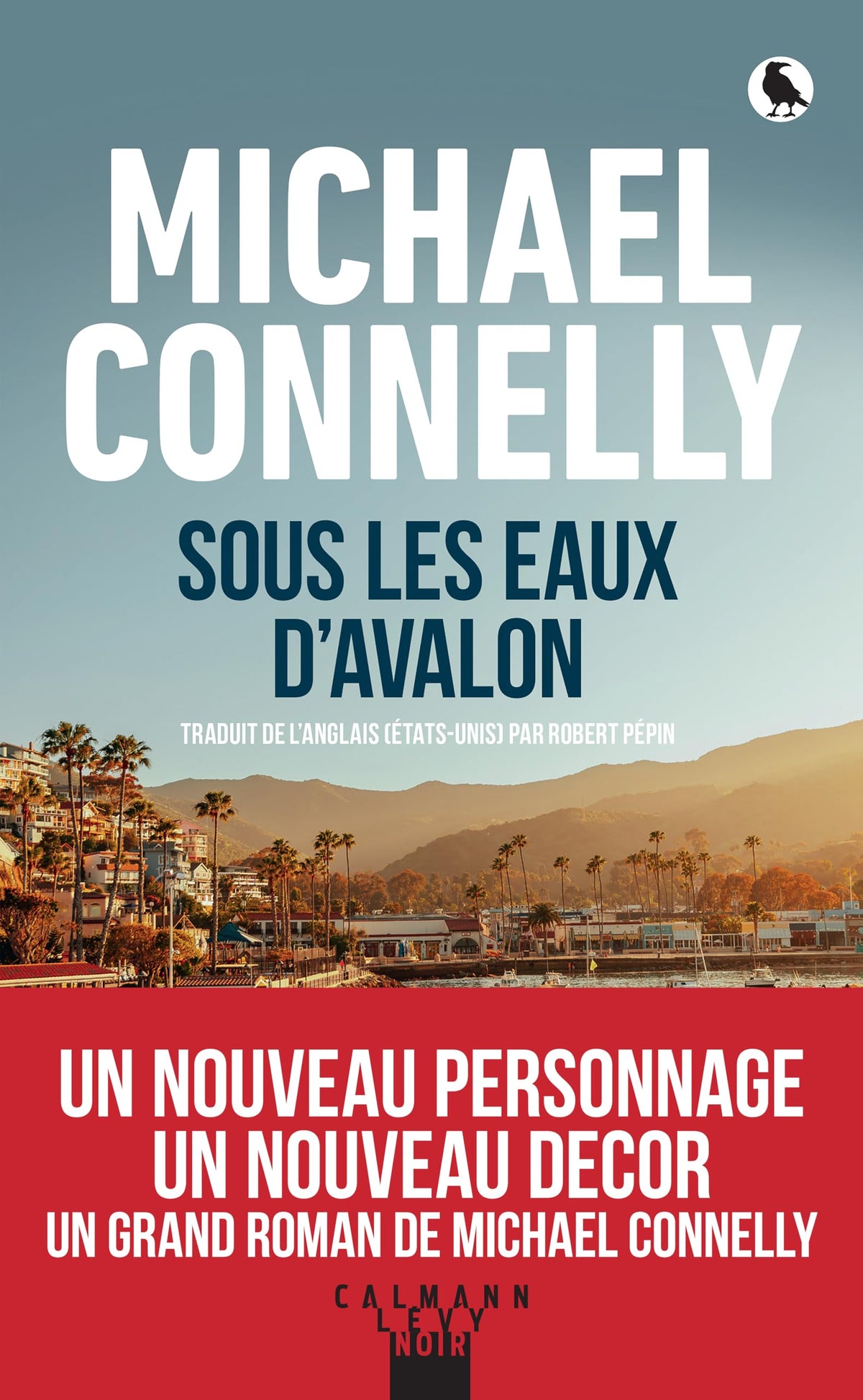Sous les eaux d'Avalon - Livre d'occasion