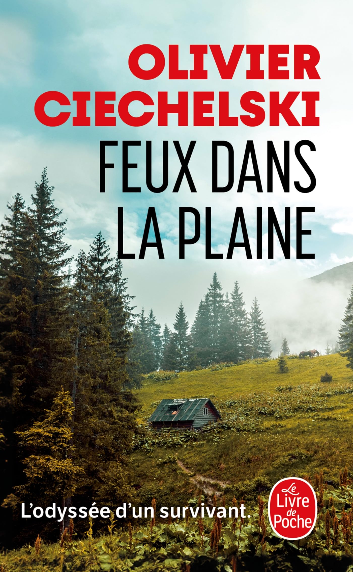 Feux dans la plaine - Livre d'occasion
