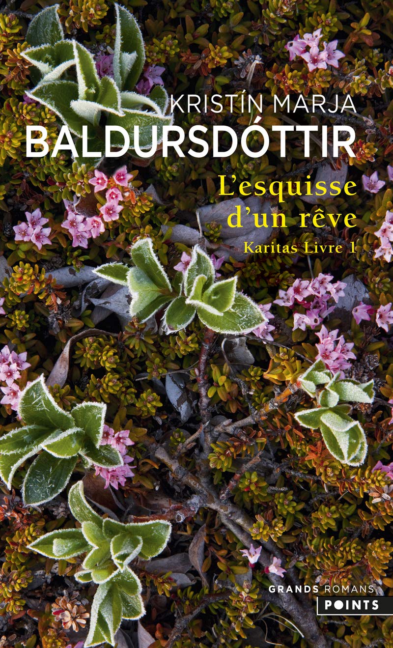 L'Esquisse d'un rêve: Karitas Livre 1 - Livre d'occasion