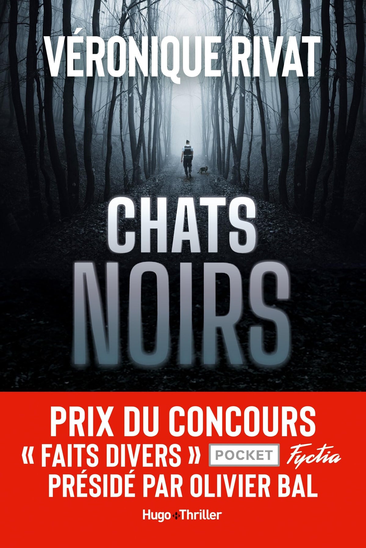 Chats noirs - Livre d'occasion