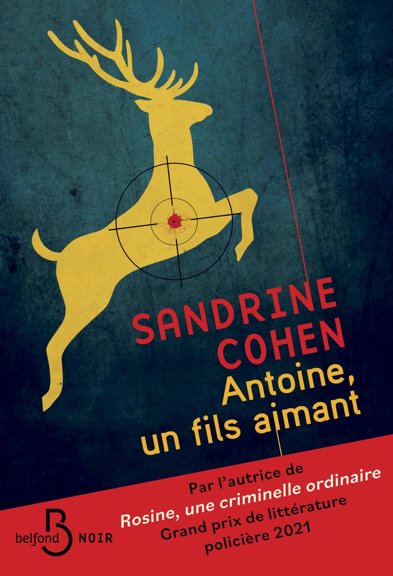 Antoine, un fils aimant - Après Rosine, une criminelle ordinaire, découvrez le nouveau roman de Sandrine Cohen - Livre d'occasion
