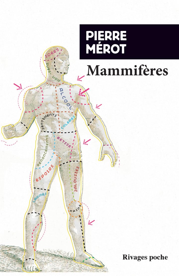Mammiferes - Livre d'occasion