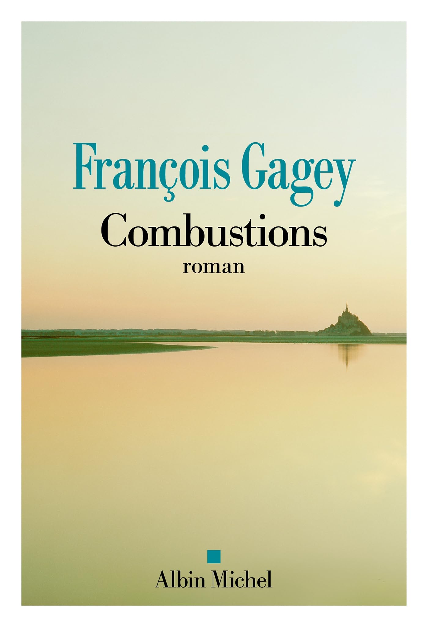 Combustions - Livre d'occasion