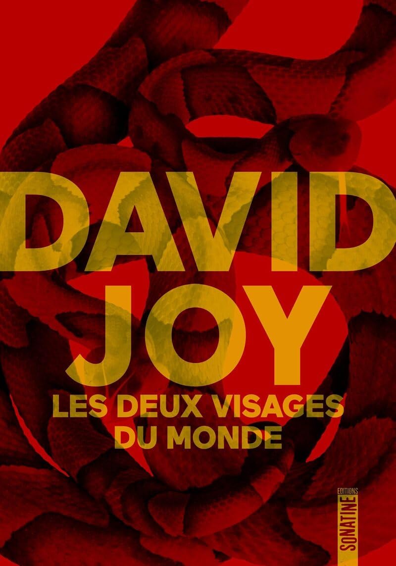 Les deux visages du monde - Livre d'occasion