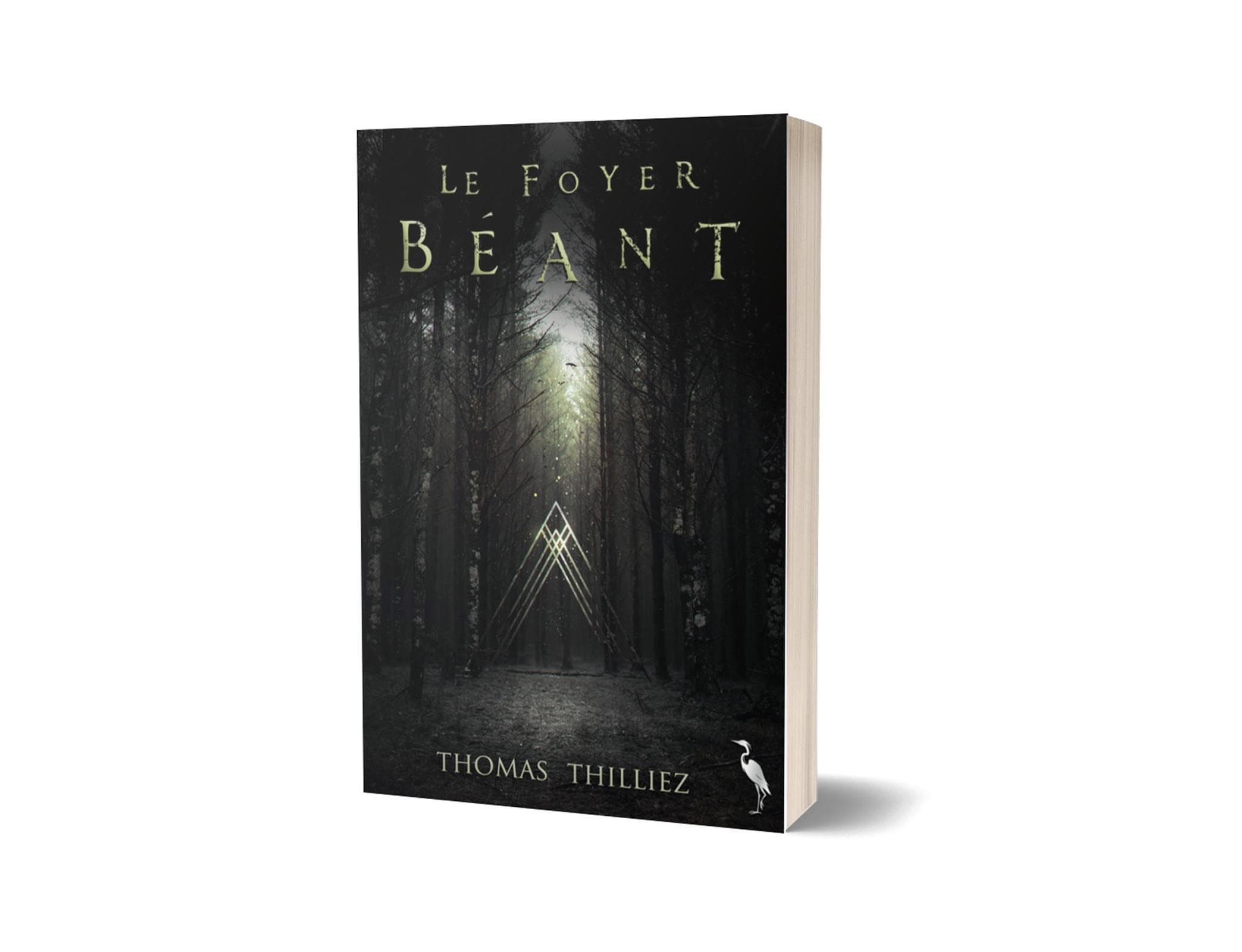 Le foyer béant - Livre d'occasion