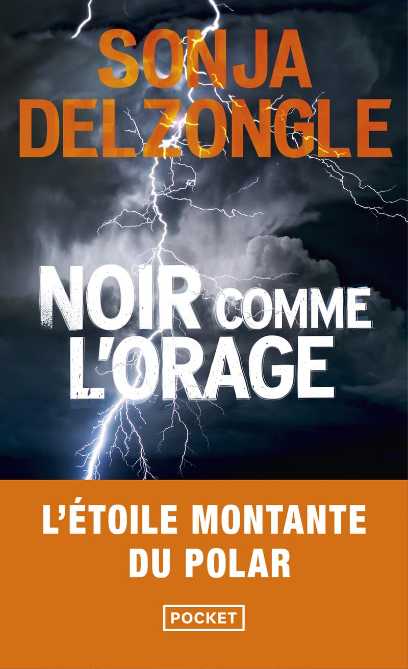 Noir comme l'orage - Livre d'occasion