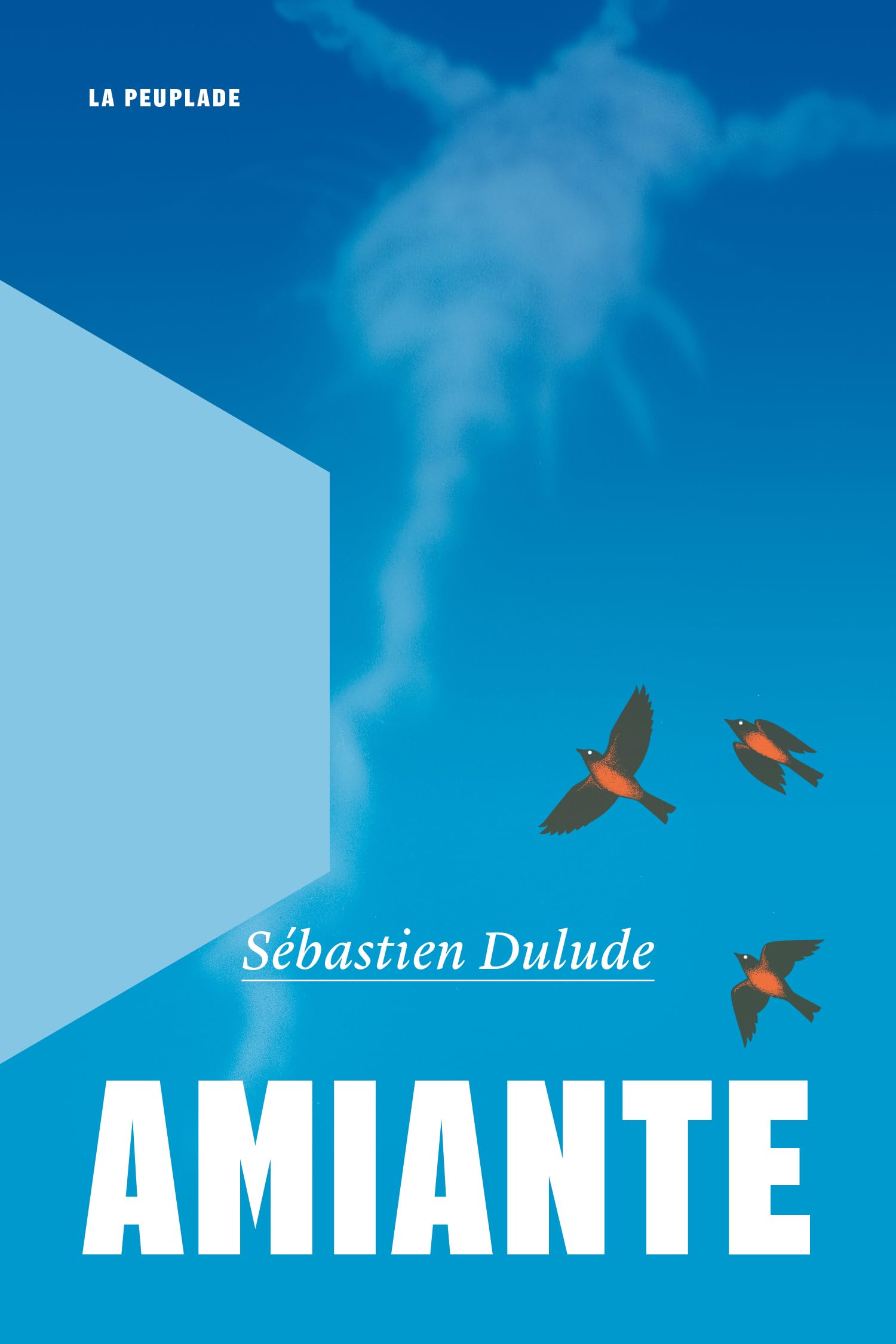 Amiante - Livre d'occasion