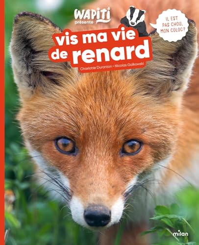 Vis ma vie de renard - Livre d'occasion