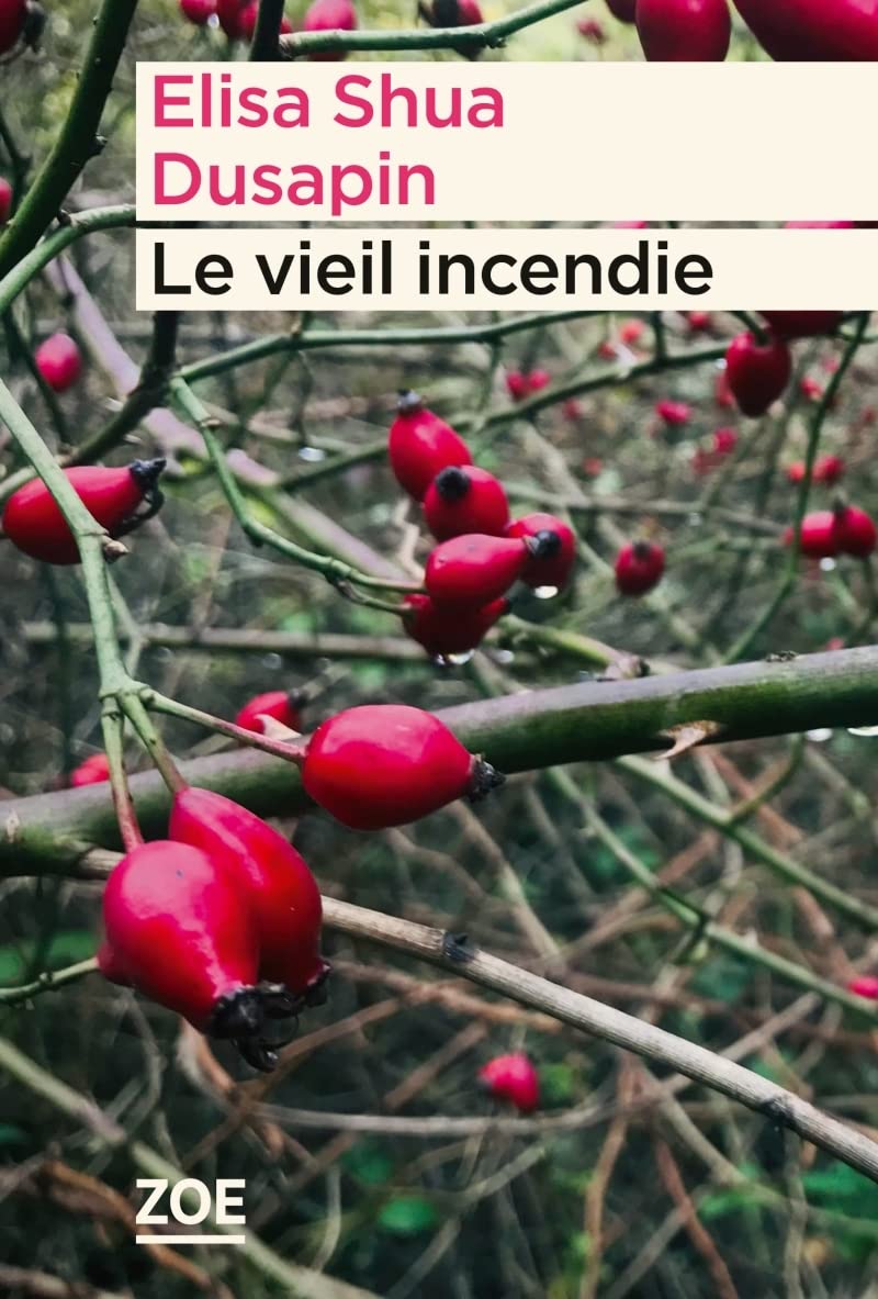 Le vieil incendie - Livre d'occasion
