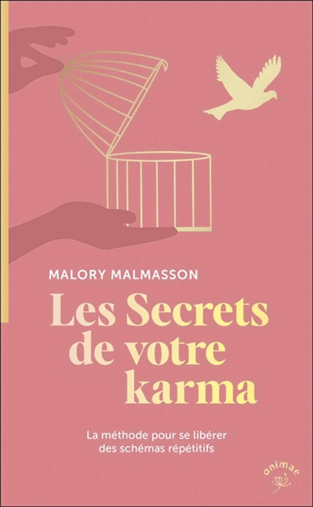 Les secrets de votre karma - la methode pour se liberer des schemas repetitifs - Livre d'occasion