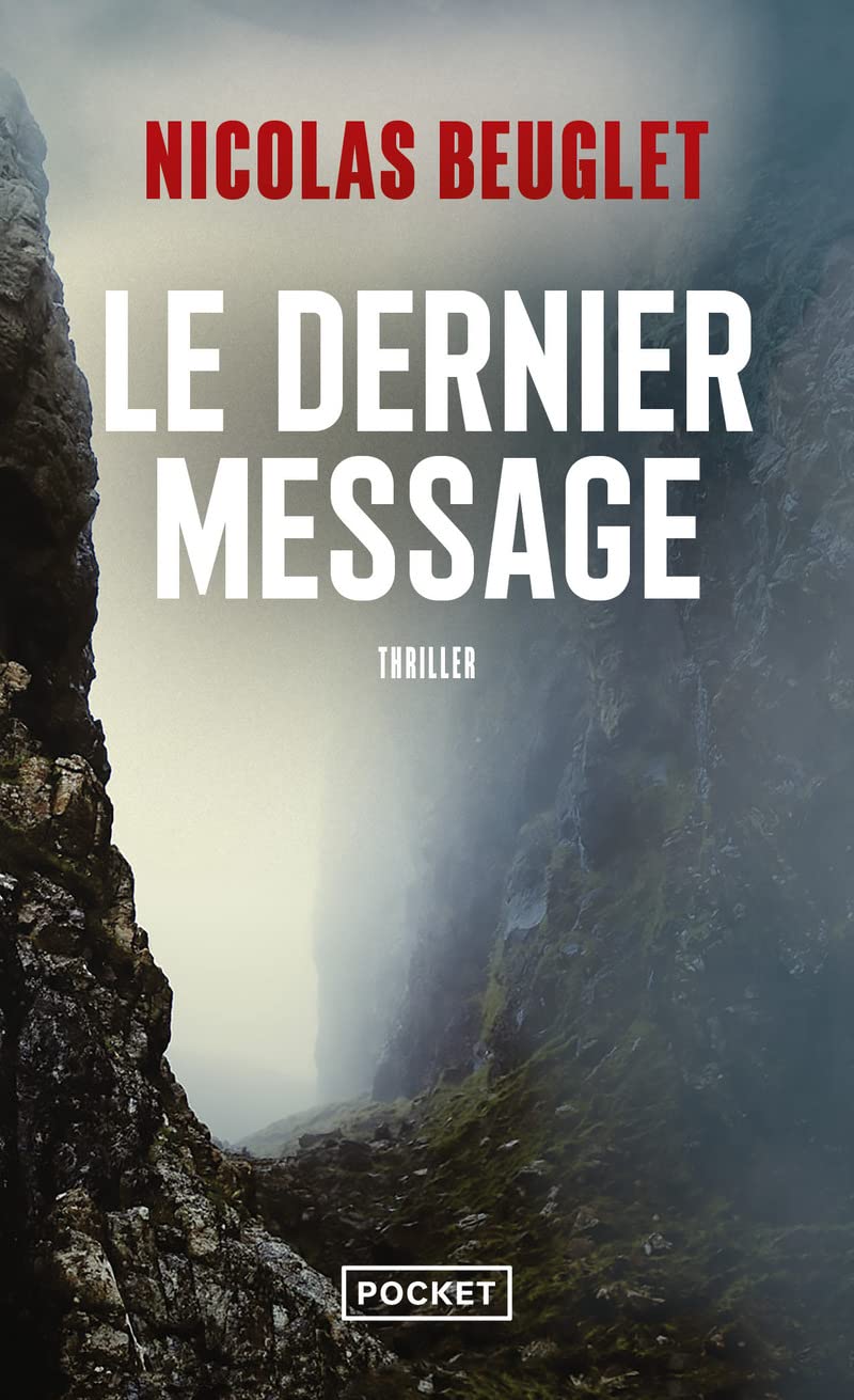 Le dernier message - Livre d'occasion