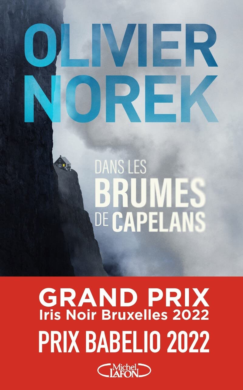 Dans les brumes de Capelans - Livre d'occasion