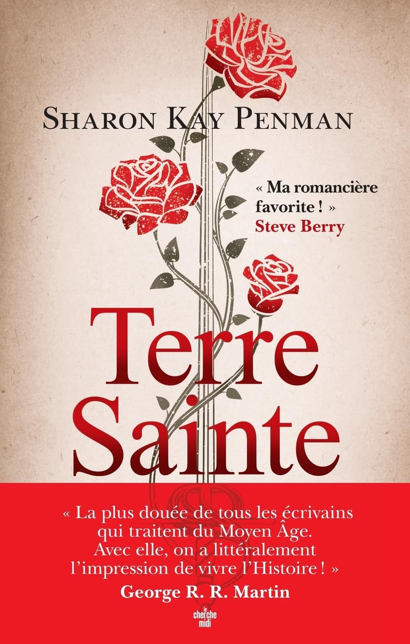 Terre sainte - Livre d'occasion