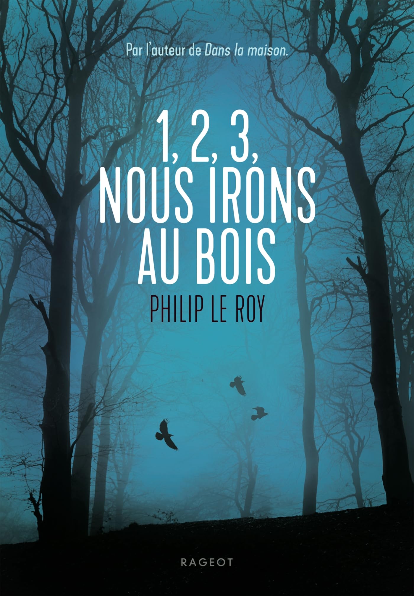 1, 2, 3, nous irons au bois - Livre d'occasion