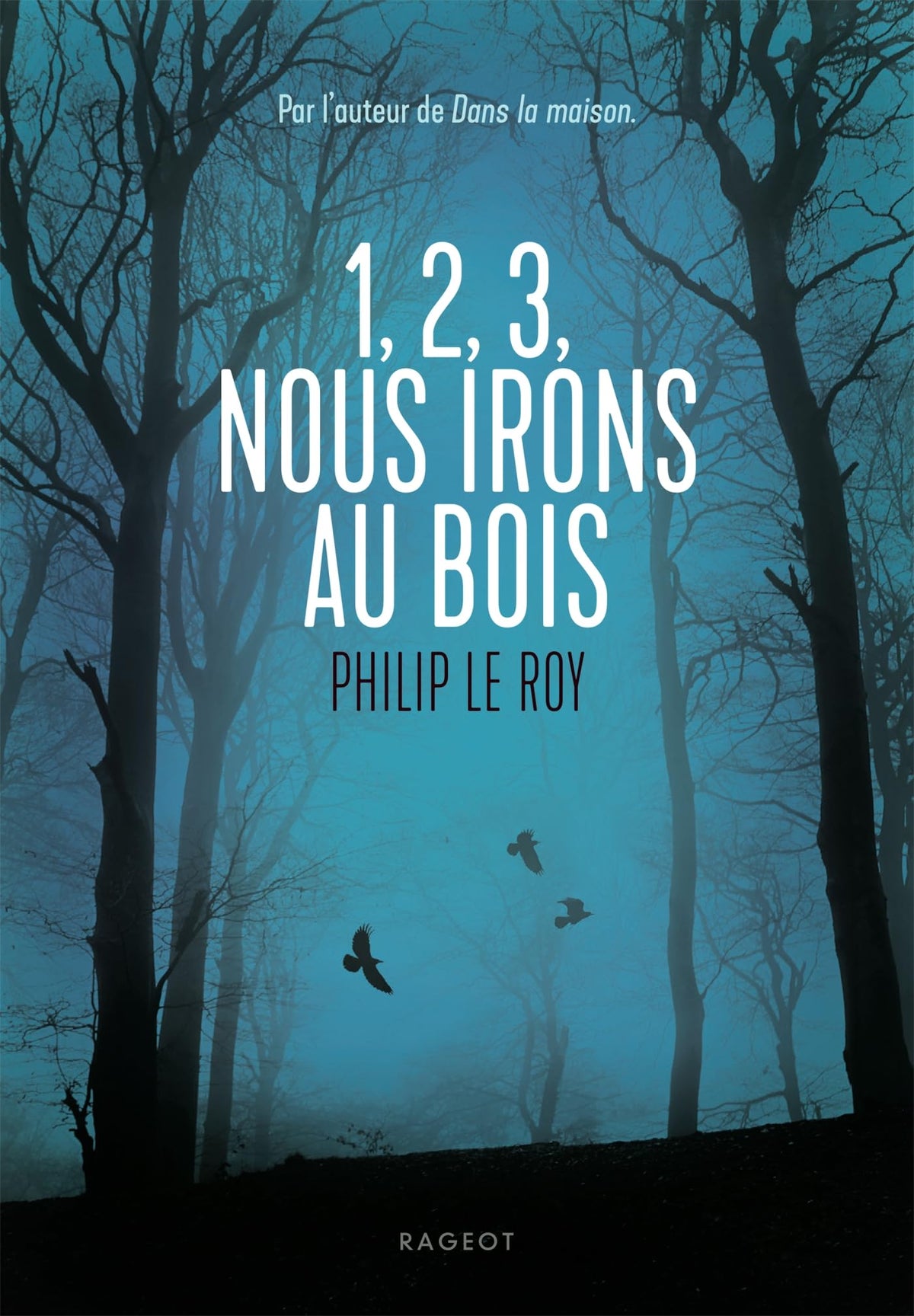 1, 2, 3, nous irons au bois - Livre d'occasion
