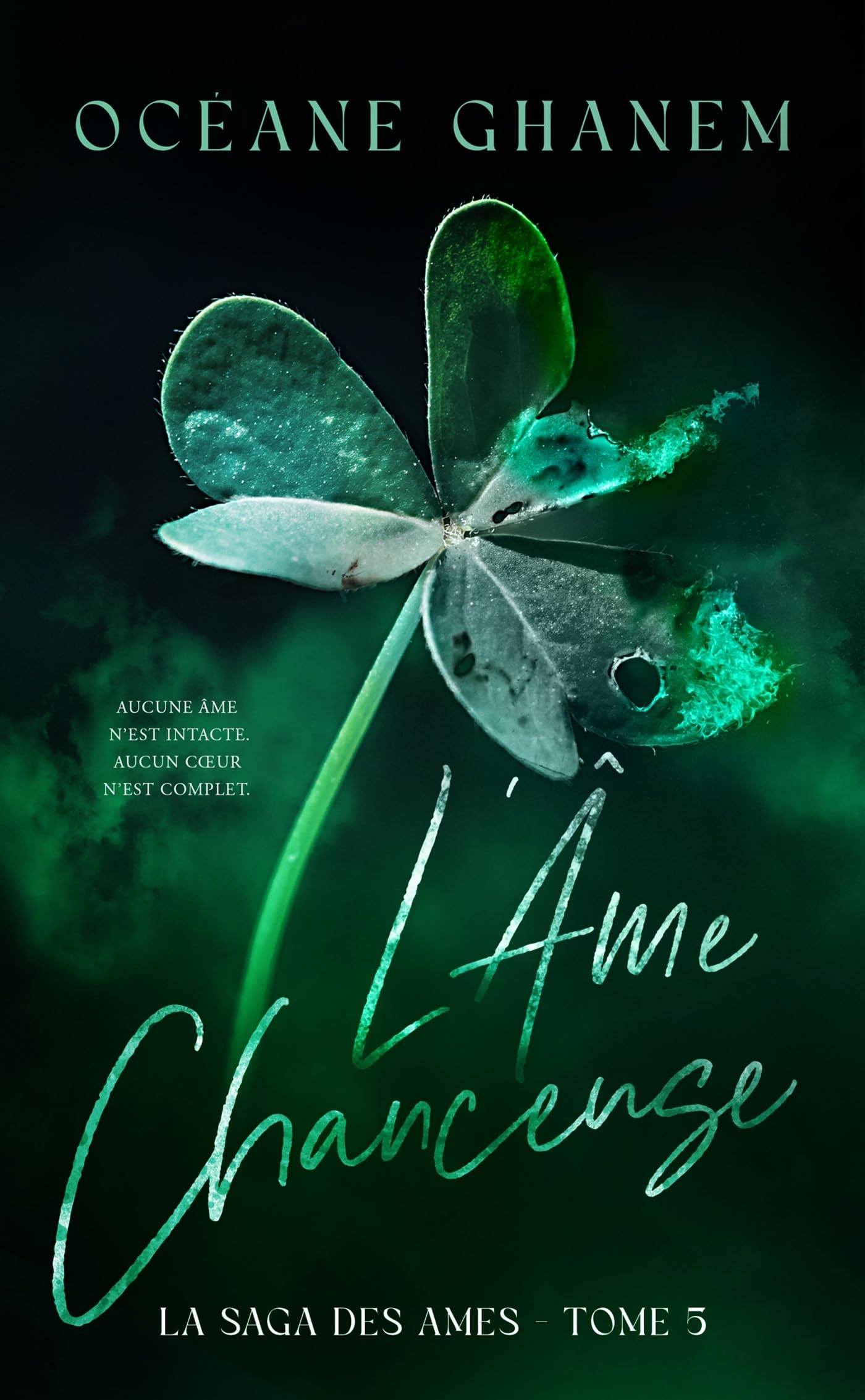 L'Âme Chanceuse - Saga des Âmes Tome 5: Le troisième cycle de la saga des âmes - Livre d'occasion
