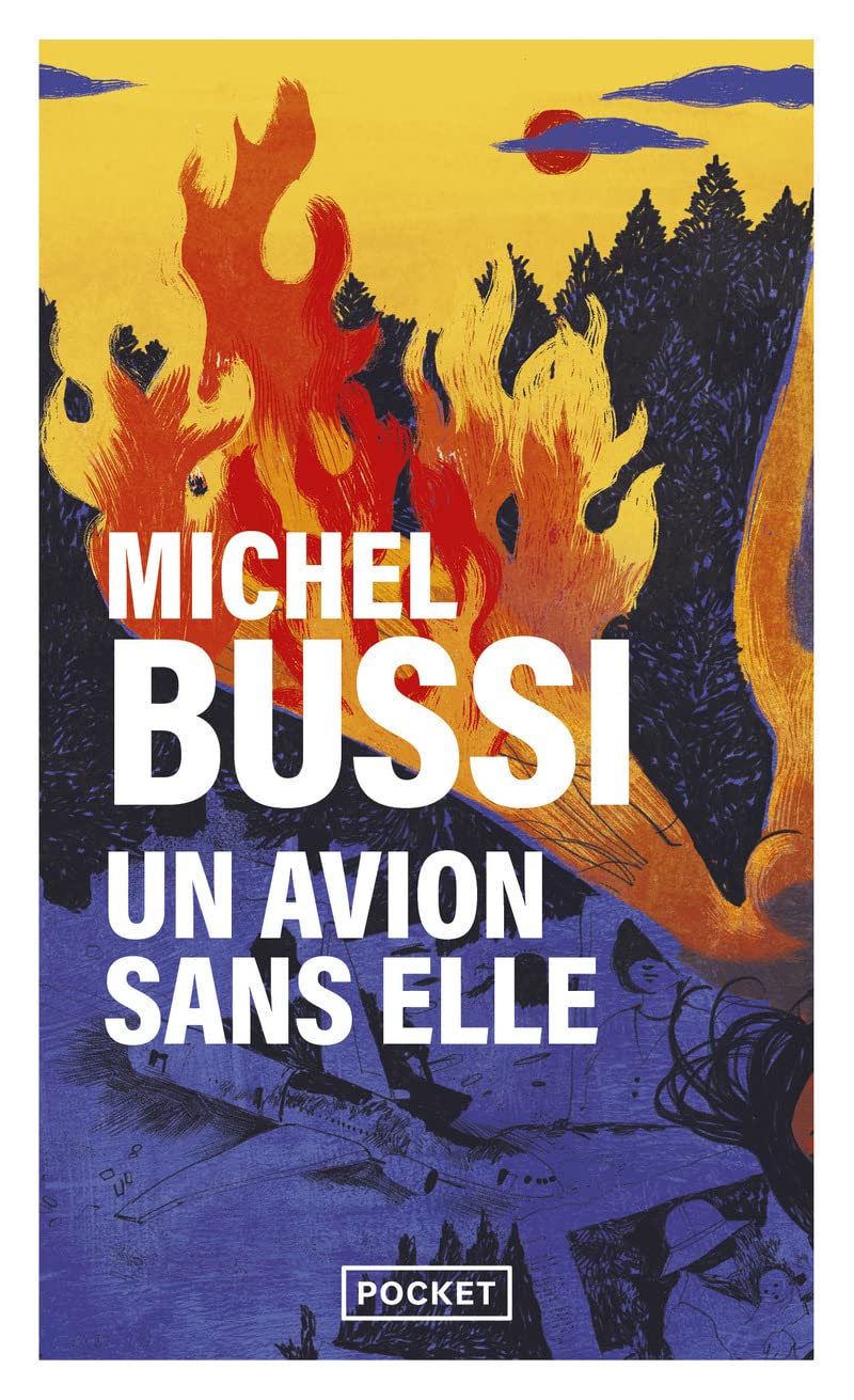 Un avion sans elle - Prix Maison de la Presse 2012 - Livre d'occasion