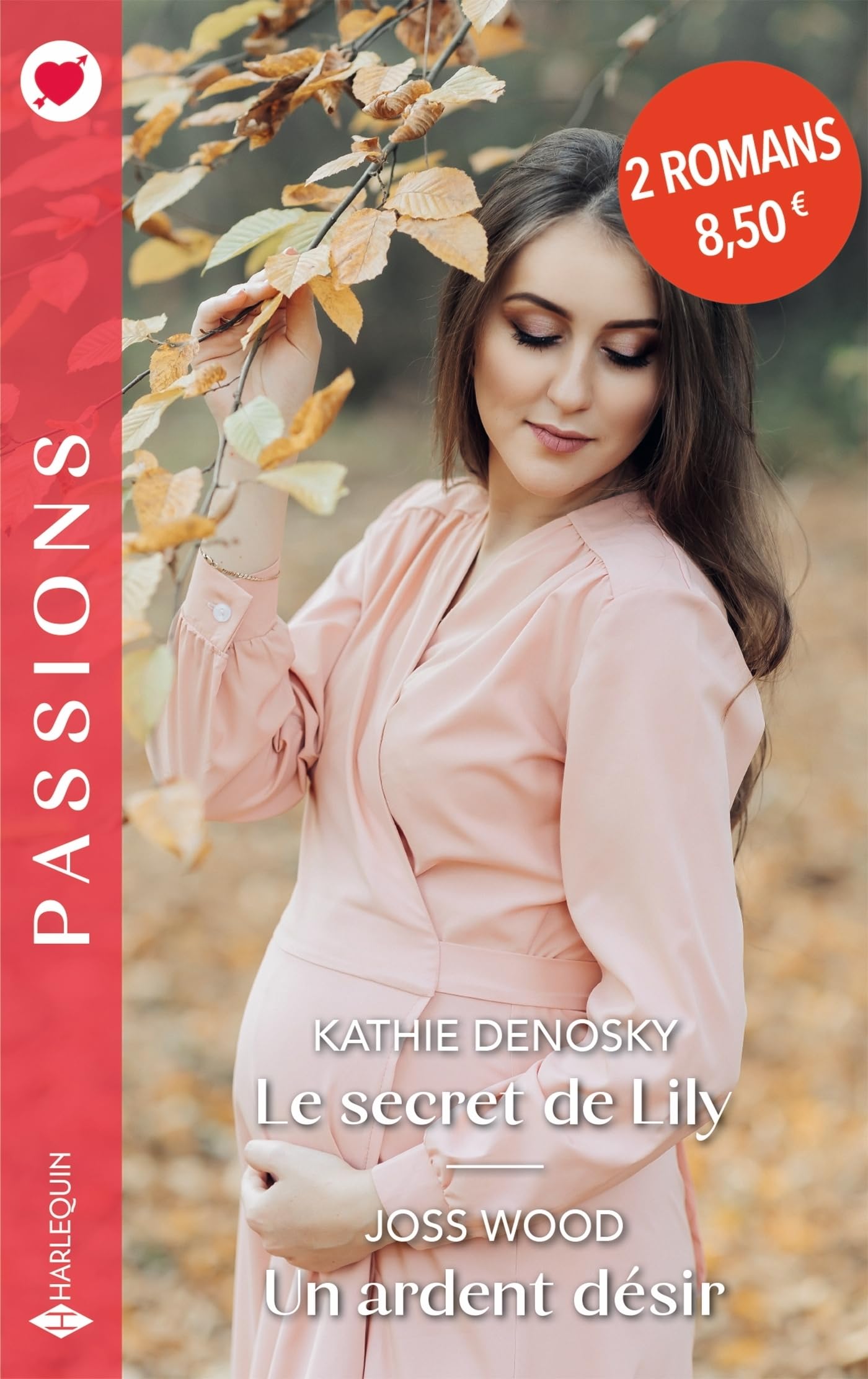 Le secret de lily - un ardent desir - Livre d'occasion