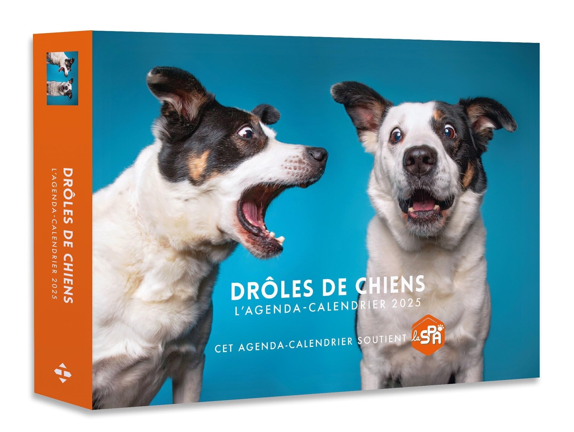 Agenda - Calendrier Drôles de chiens 2025 - Livre d'occasion