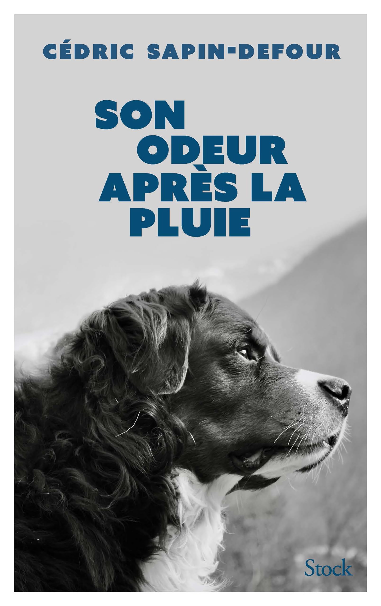 Son odeur après la pluie - Livre d'occasion
