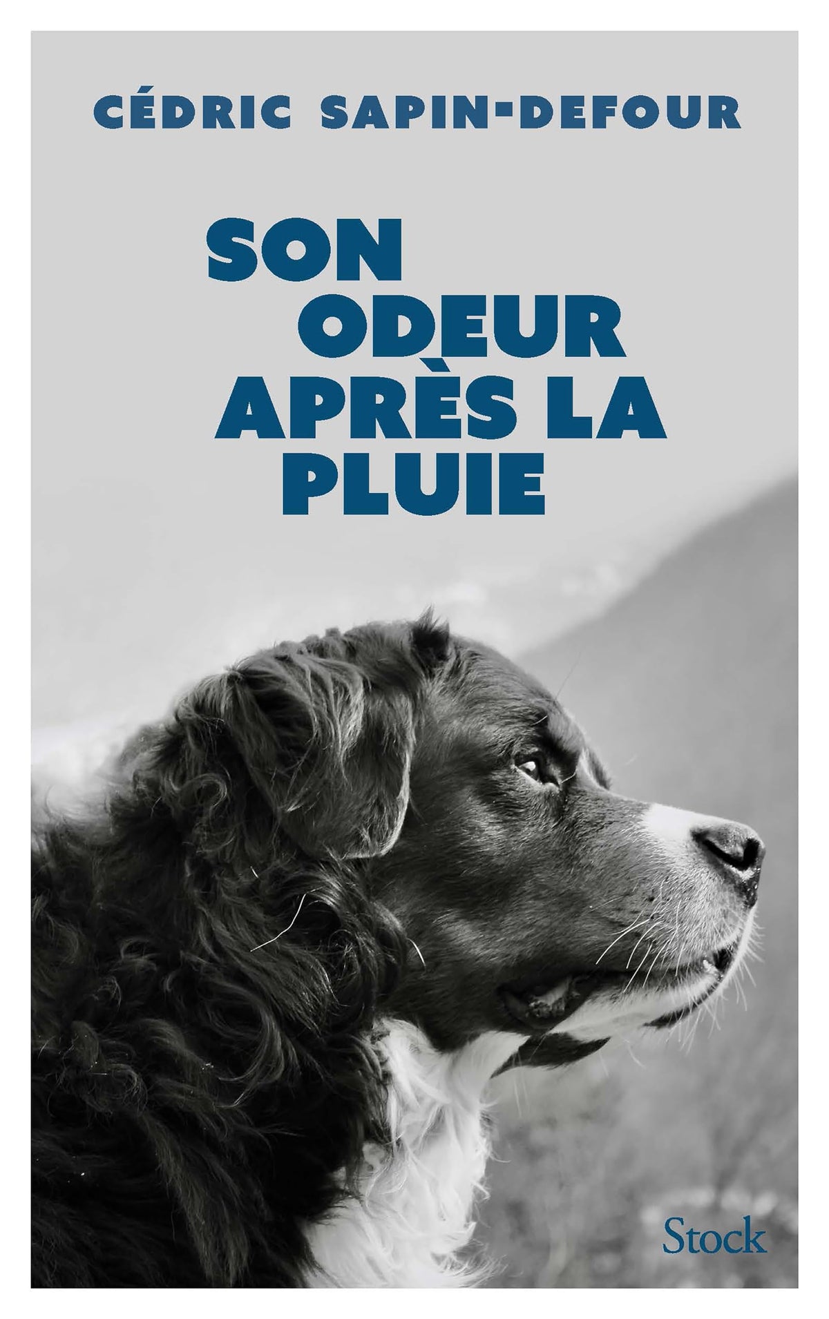 Son odeur après la pluie - Livre d'occasion
