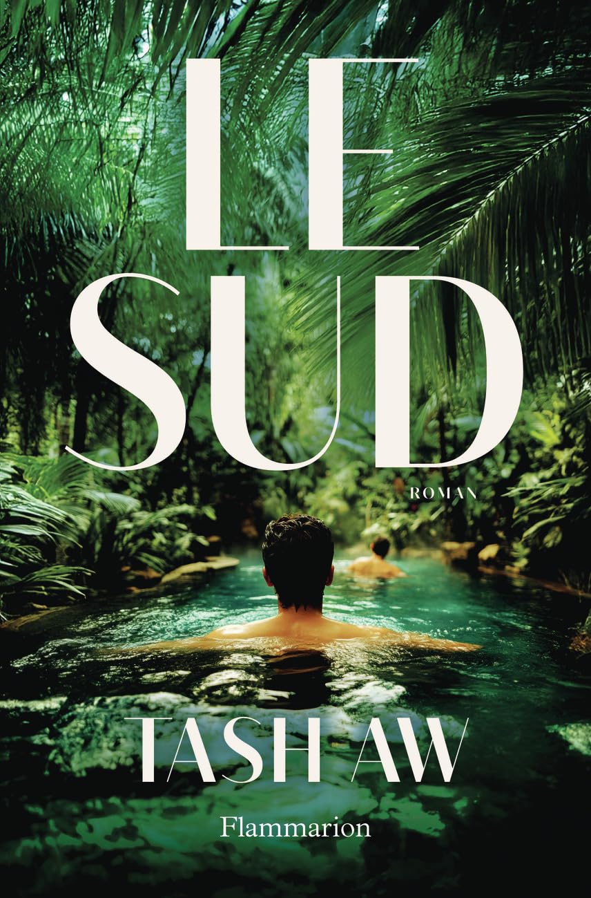 Le sud - Livre d'occasion