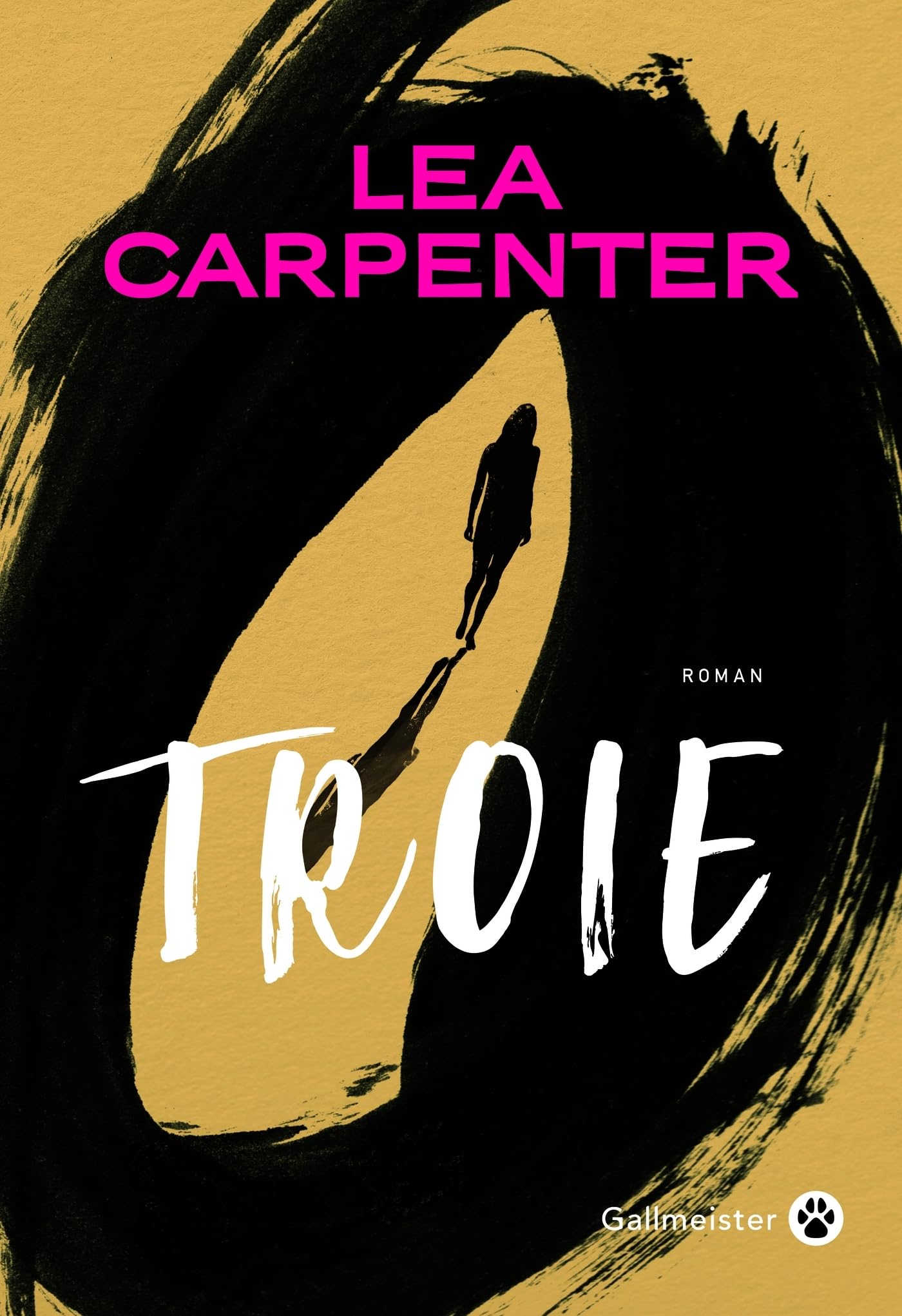 Troie - Livre d'occasion