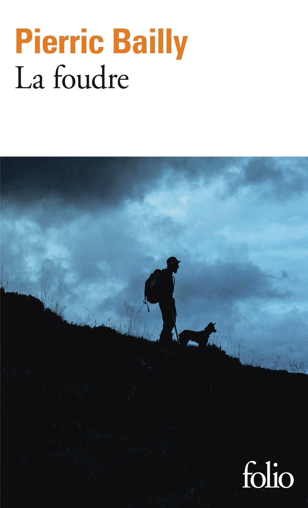 La foudre - Livre d'occasion