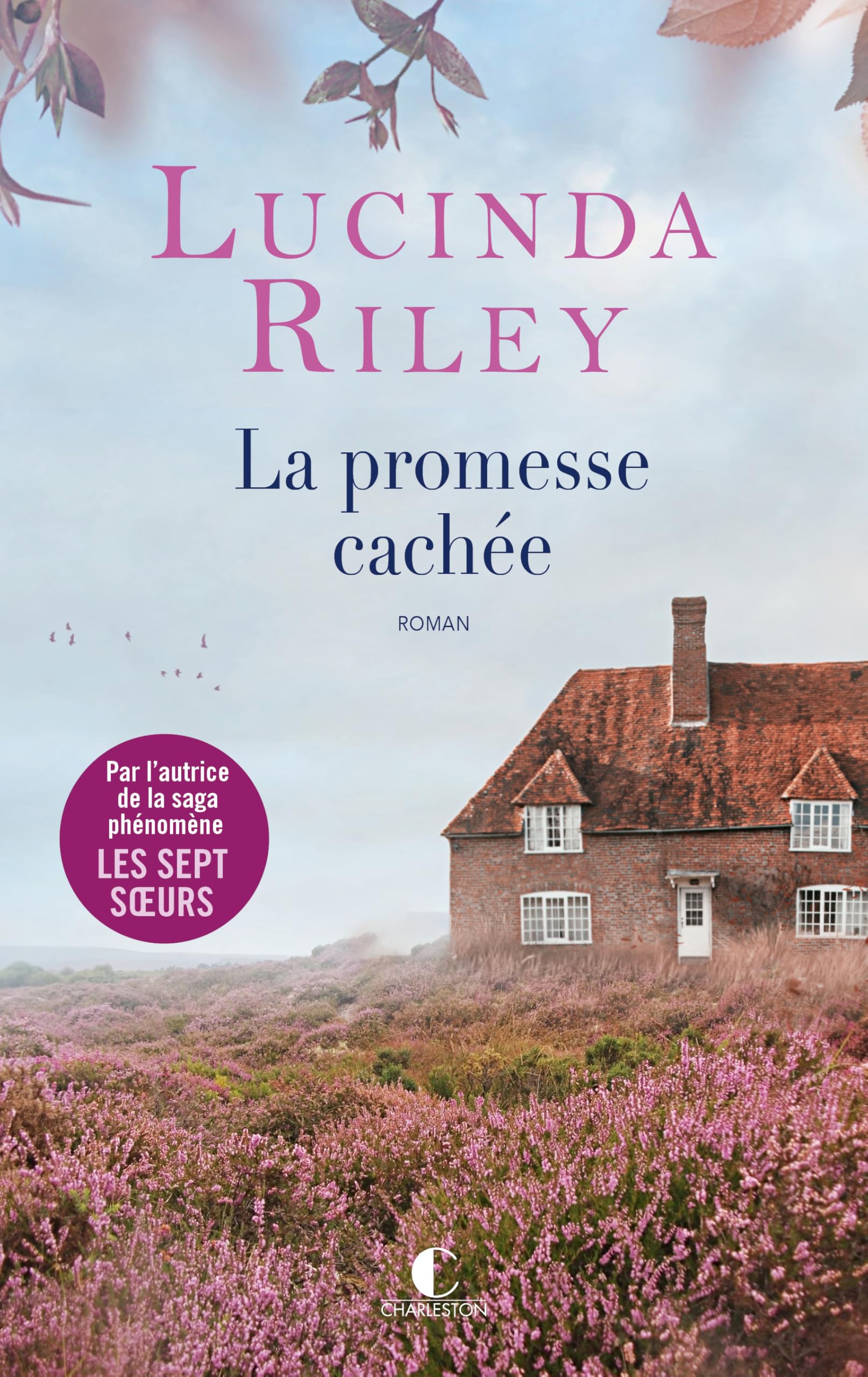 La Promesse cachée - Livre d'occasion