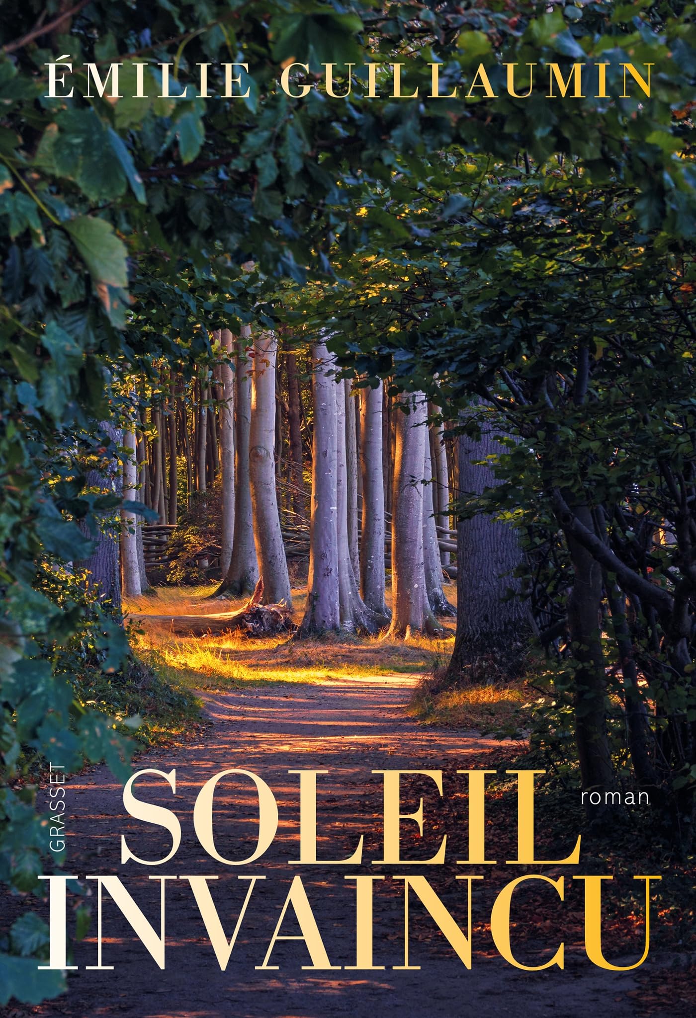 Soleil invaincu - Livre d'occasion