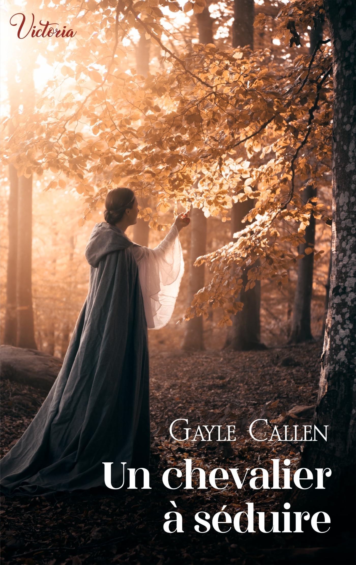 Un chevalier à séduire - Livre d'occasion