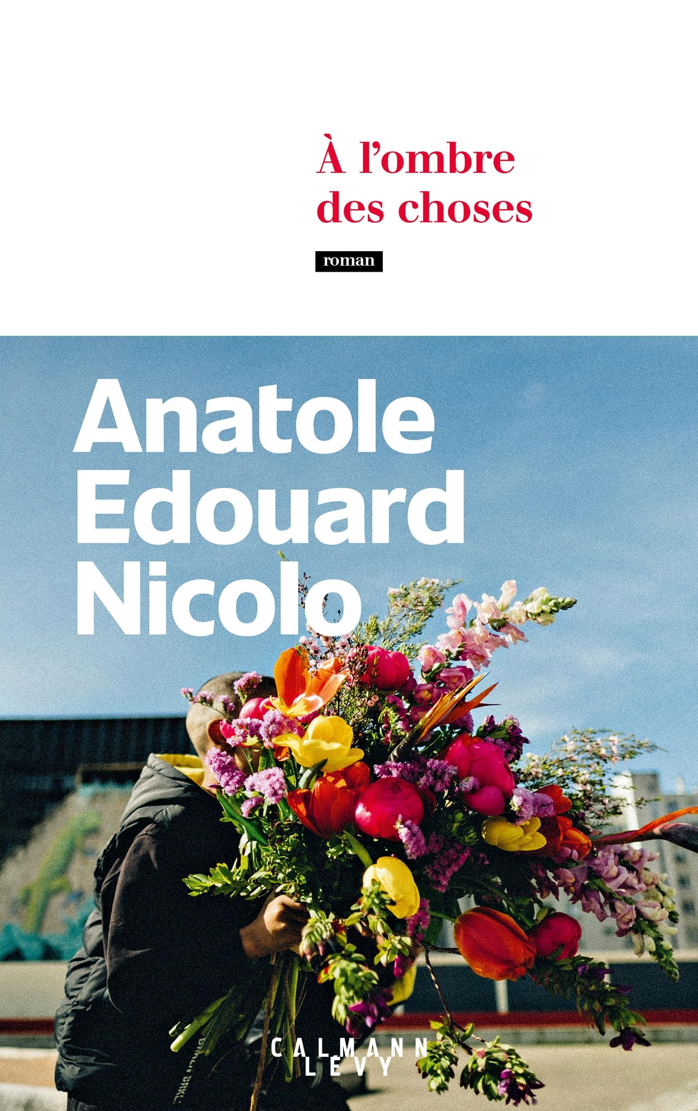 A l'ombre des choses - Livre d'occasion