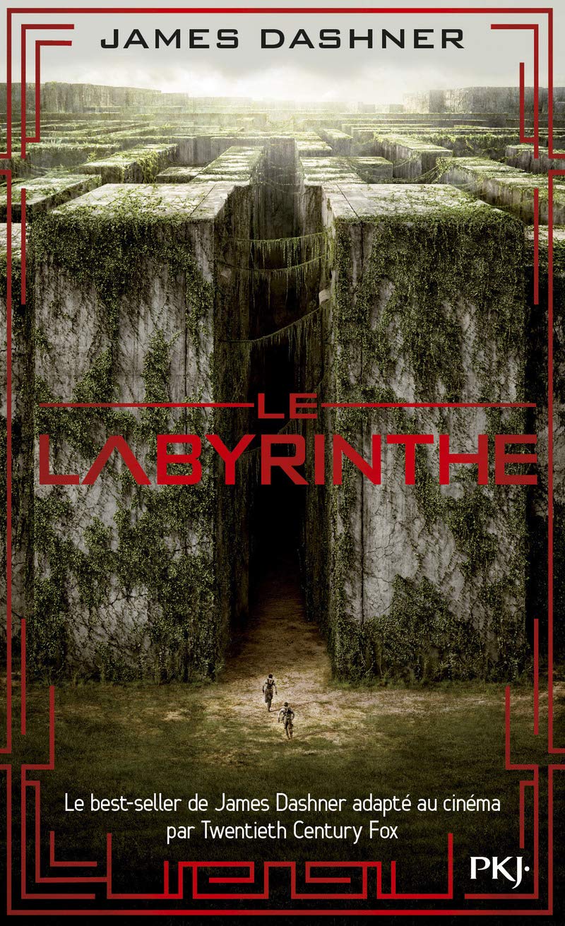 Le labyrinthe - Tome 01 - Livre d'occasion