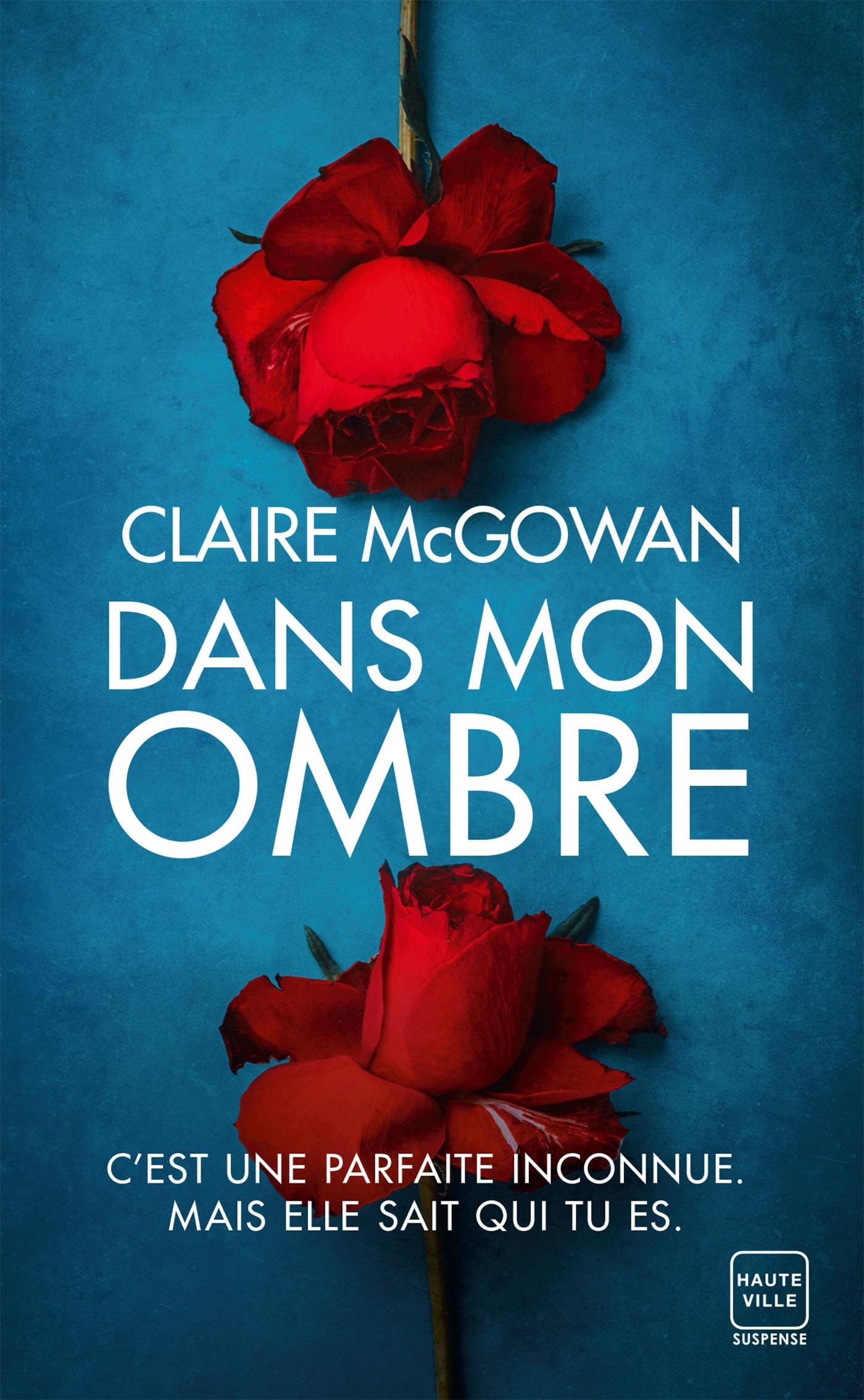 Dans mon ombre - Livre d'occasion