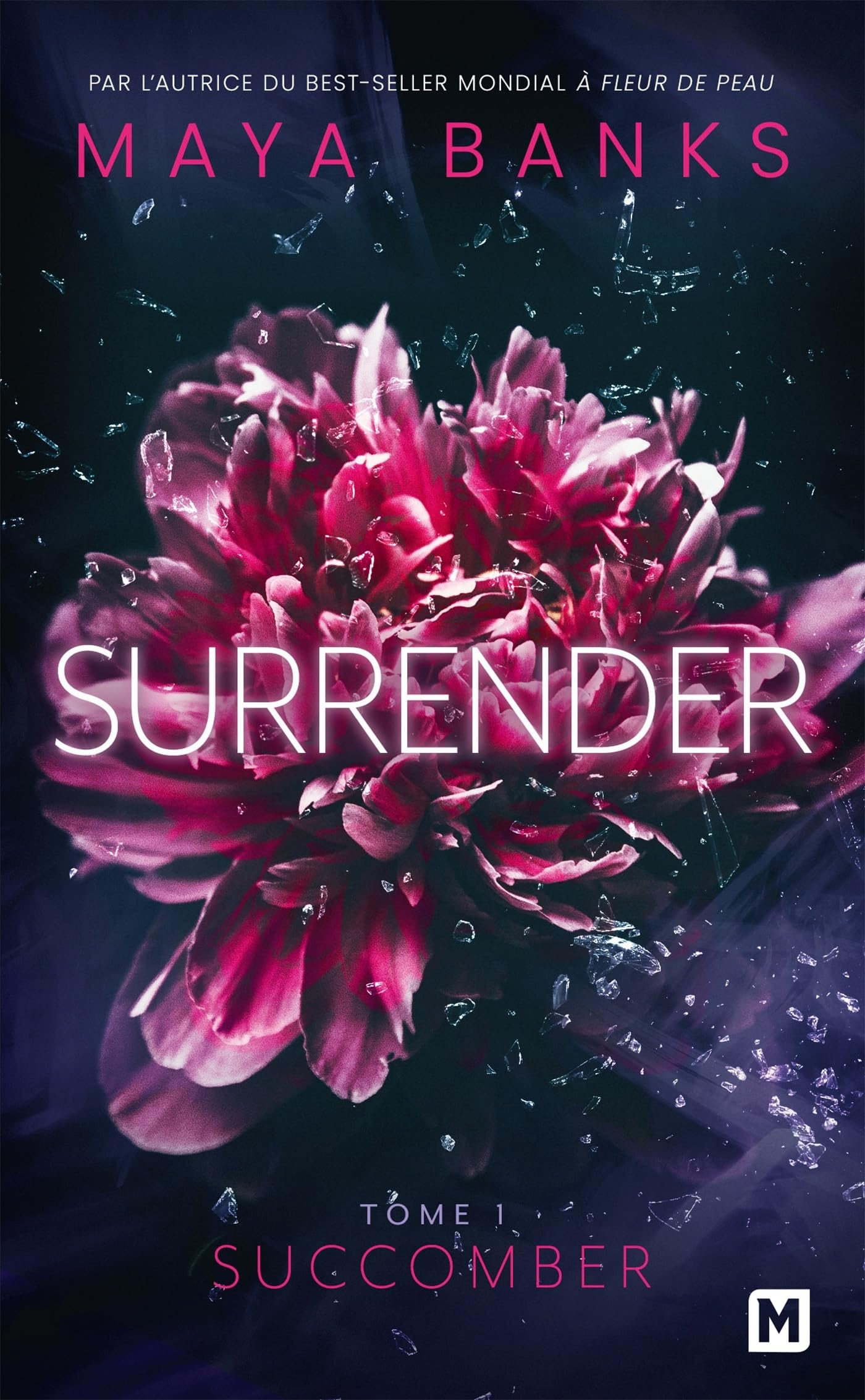 Surrender, t1 : succomber - Livre d'occasion
