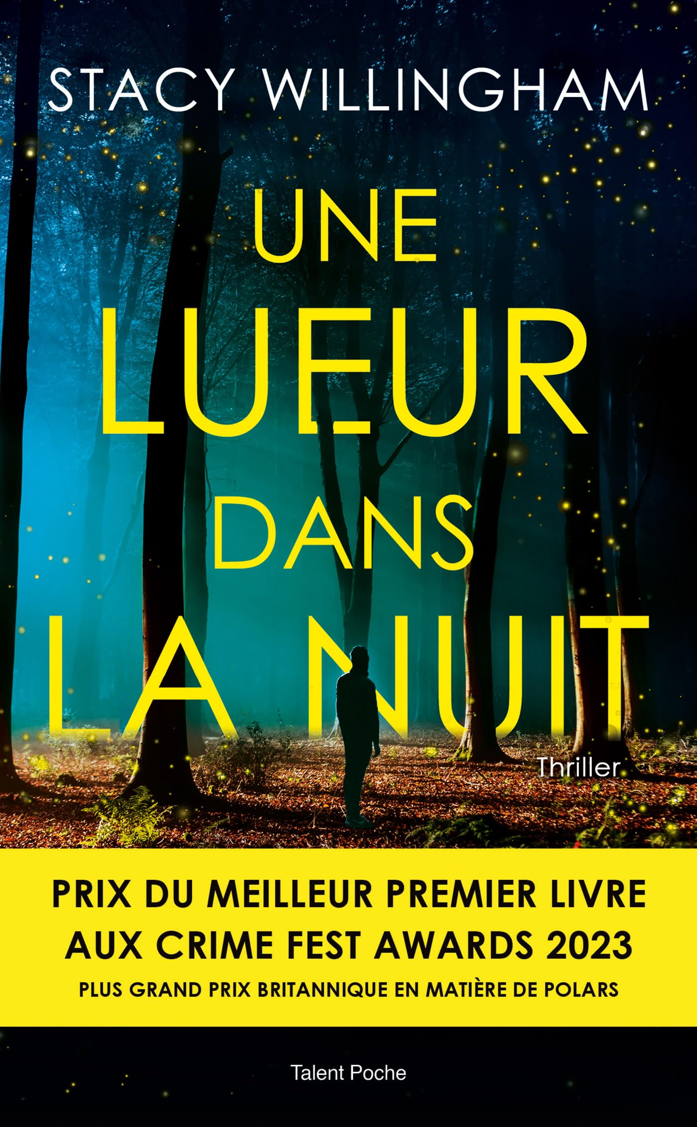 Une lueur dans la nuit - thriller psychologique - meilleur premier livre crime fest awards 2023 - Livre d'occasion