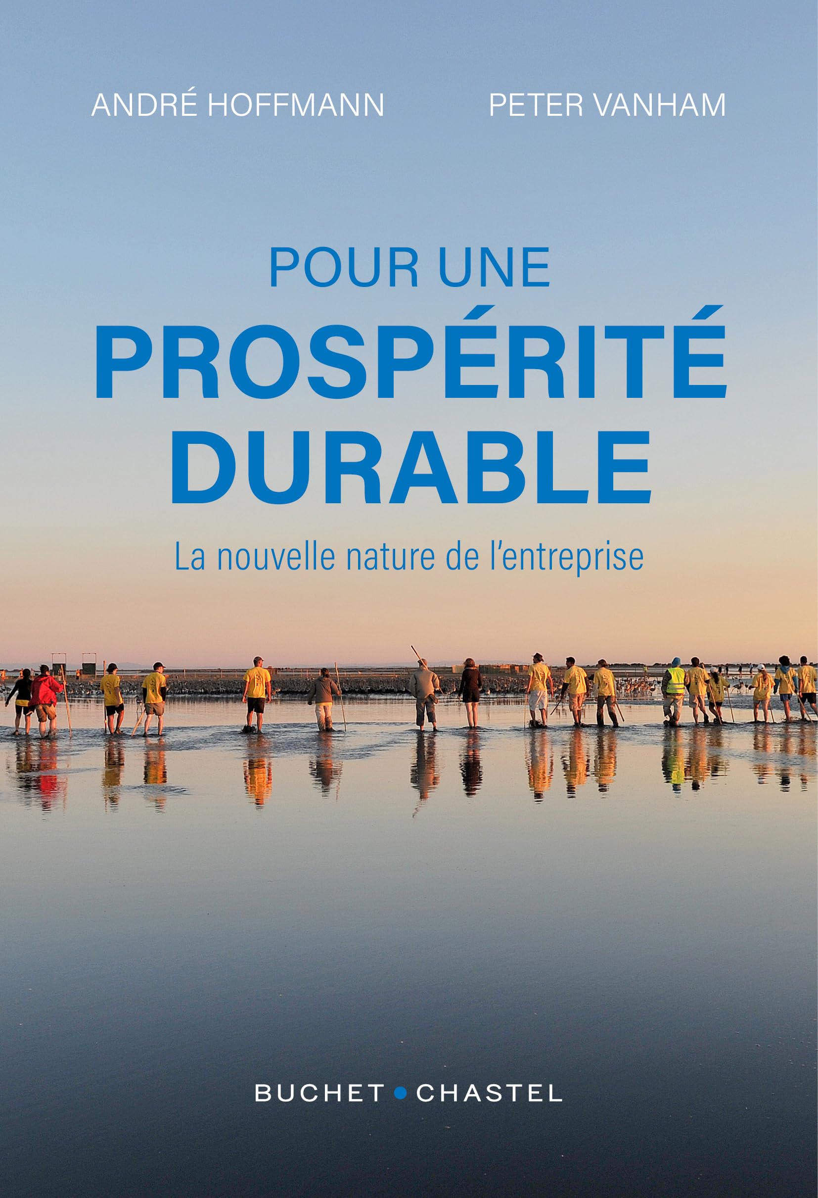 Pour une prospérité durable: La nouvelle nature de l'entreprise - Livre d'occasion