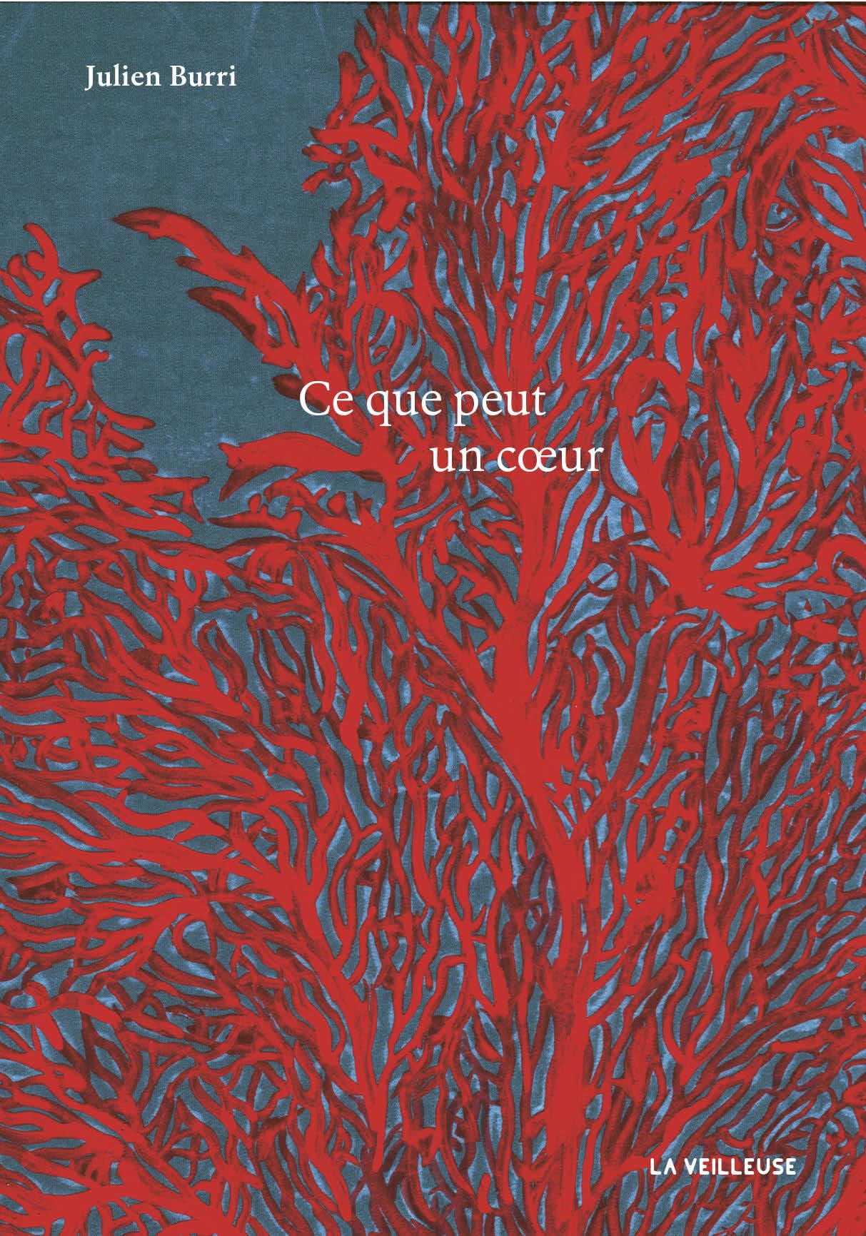 Ce que peut un coeur - Livre d'occasion