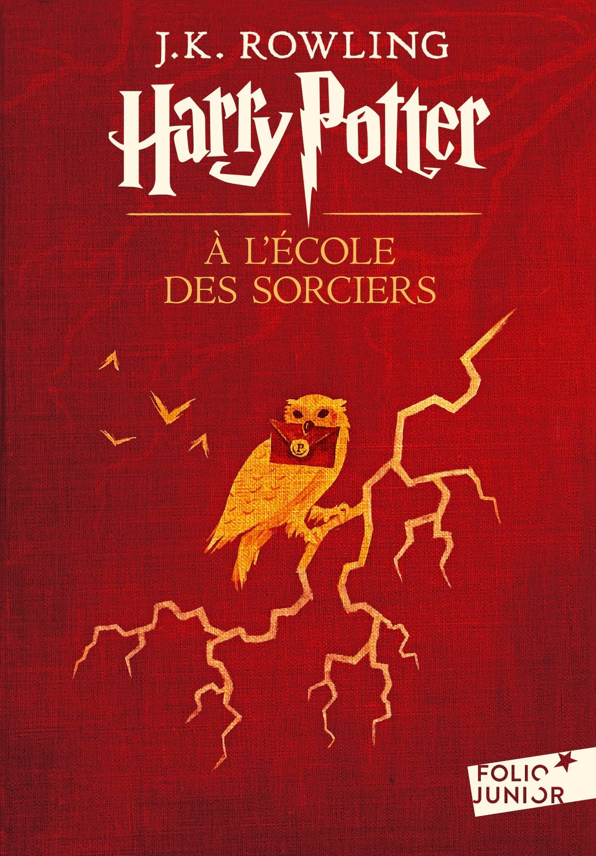 HARRY POTTER A L'ECOLE DES SORCIERS - Livre d'occasion