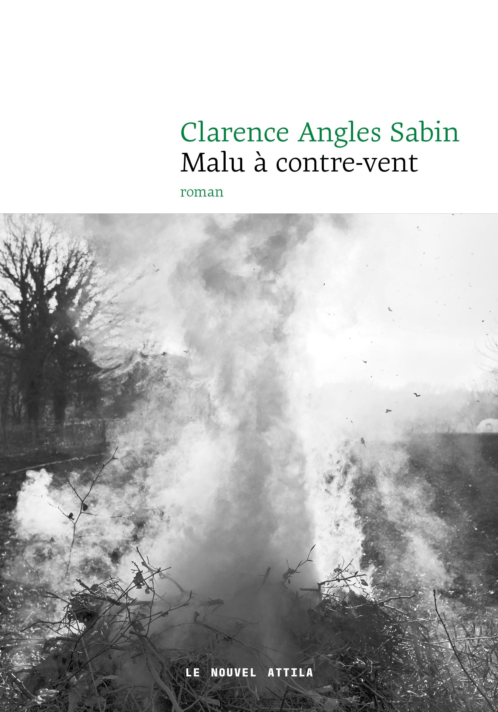 Malu à contre-vent - Livre d'occasion