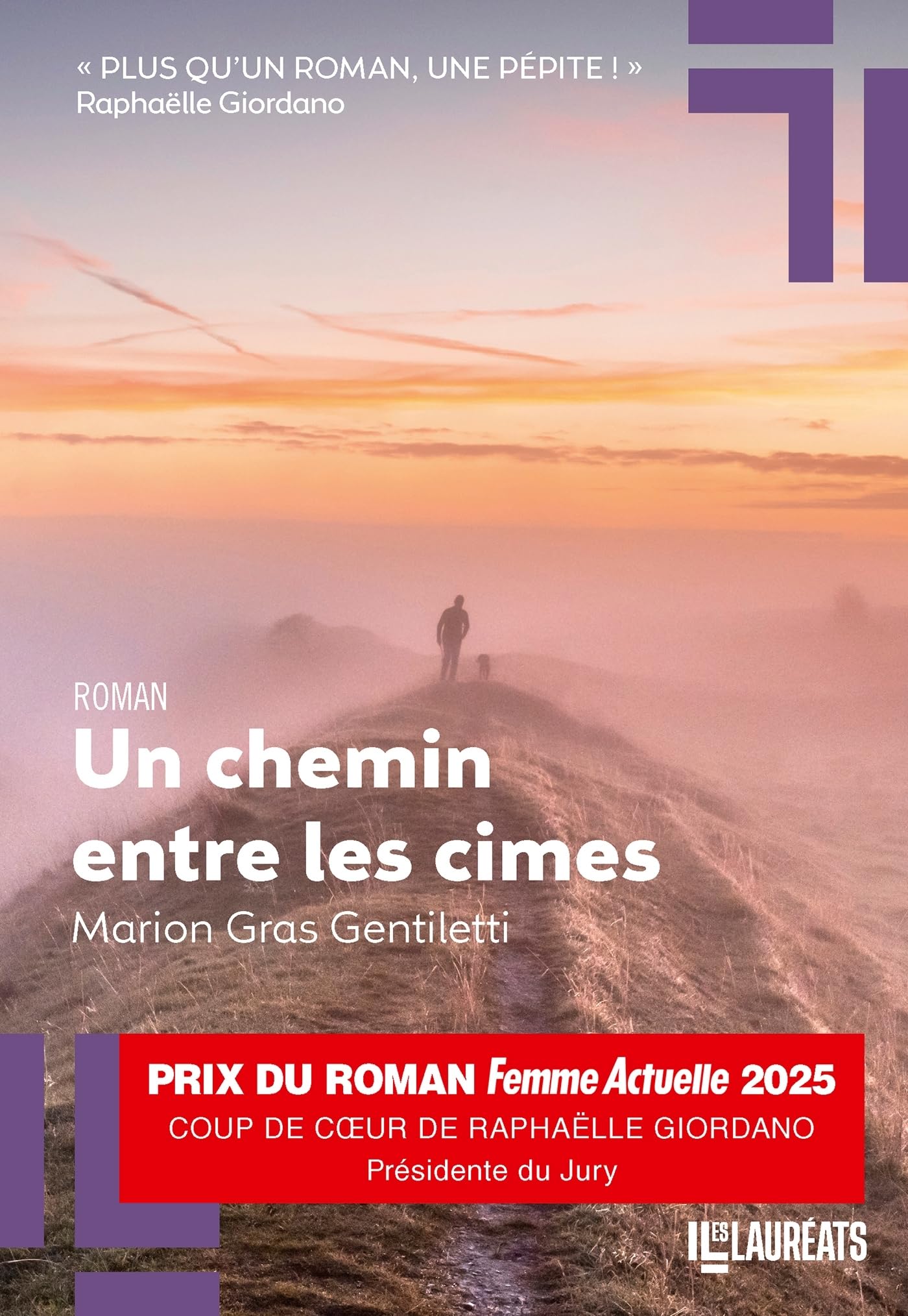 Un chemin entre les cimes - Coup de coeur présidente Femme Actuelle 2025 - Livre d'occasion