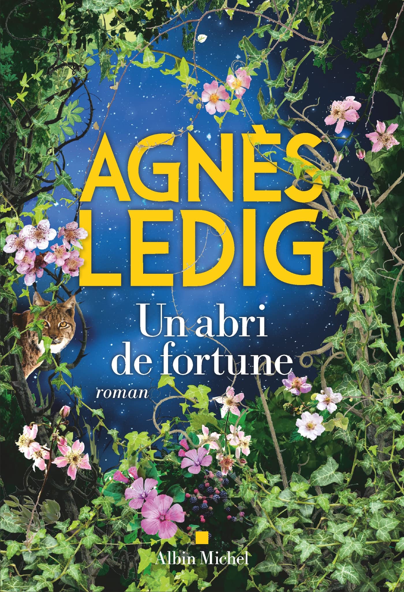 Un abri de fortune - Livre d'occasion