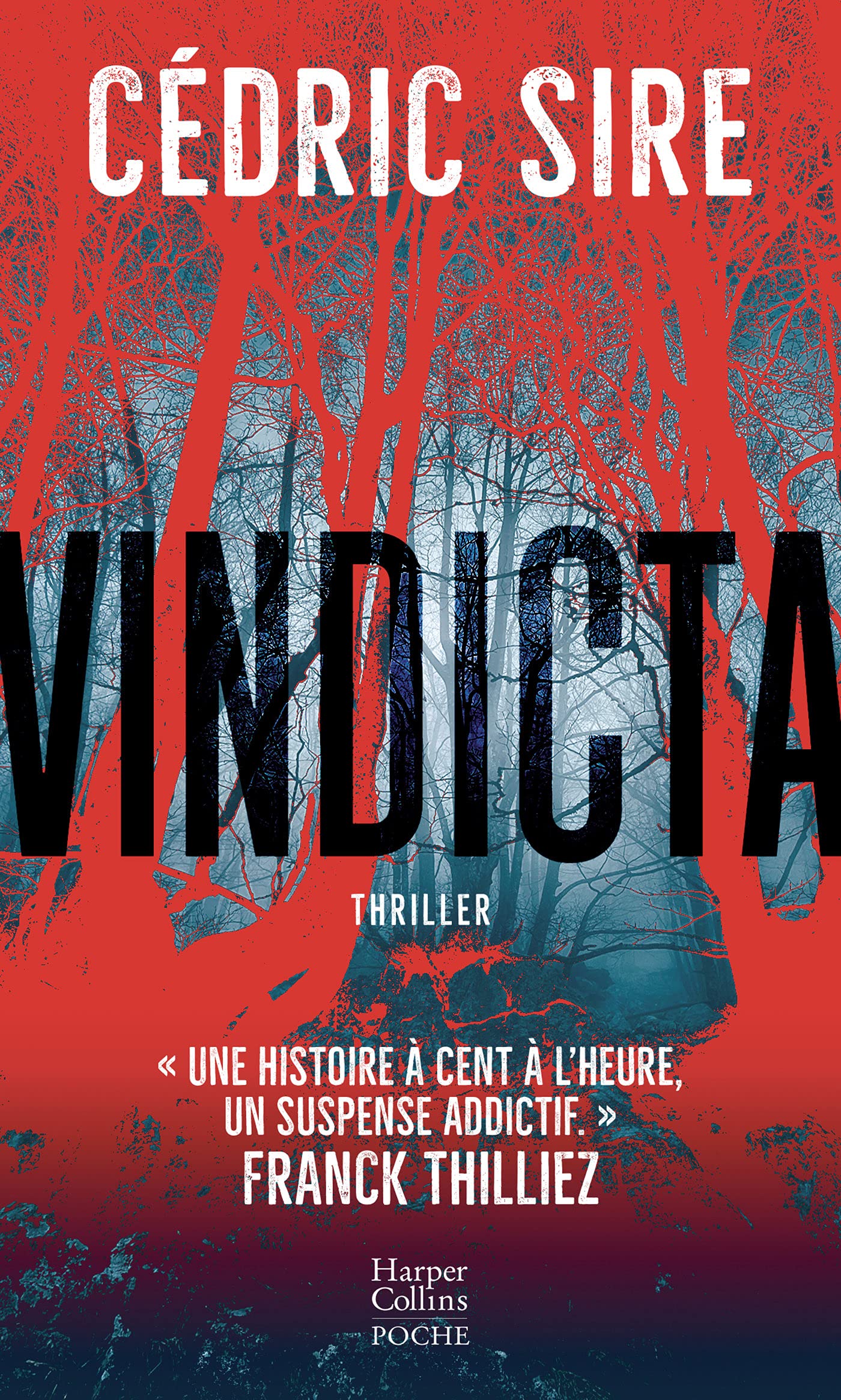 Vindicta - Livre d'occasion