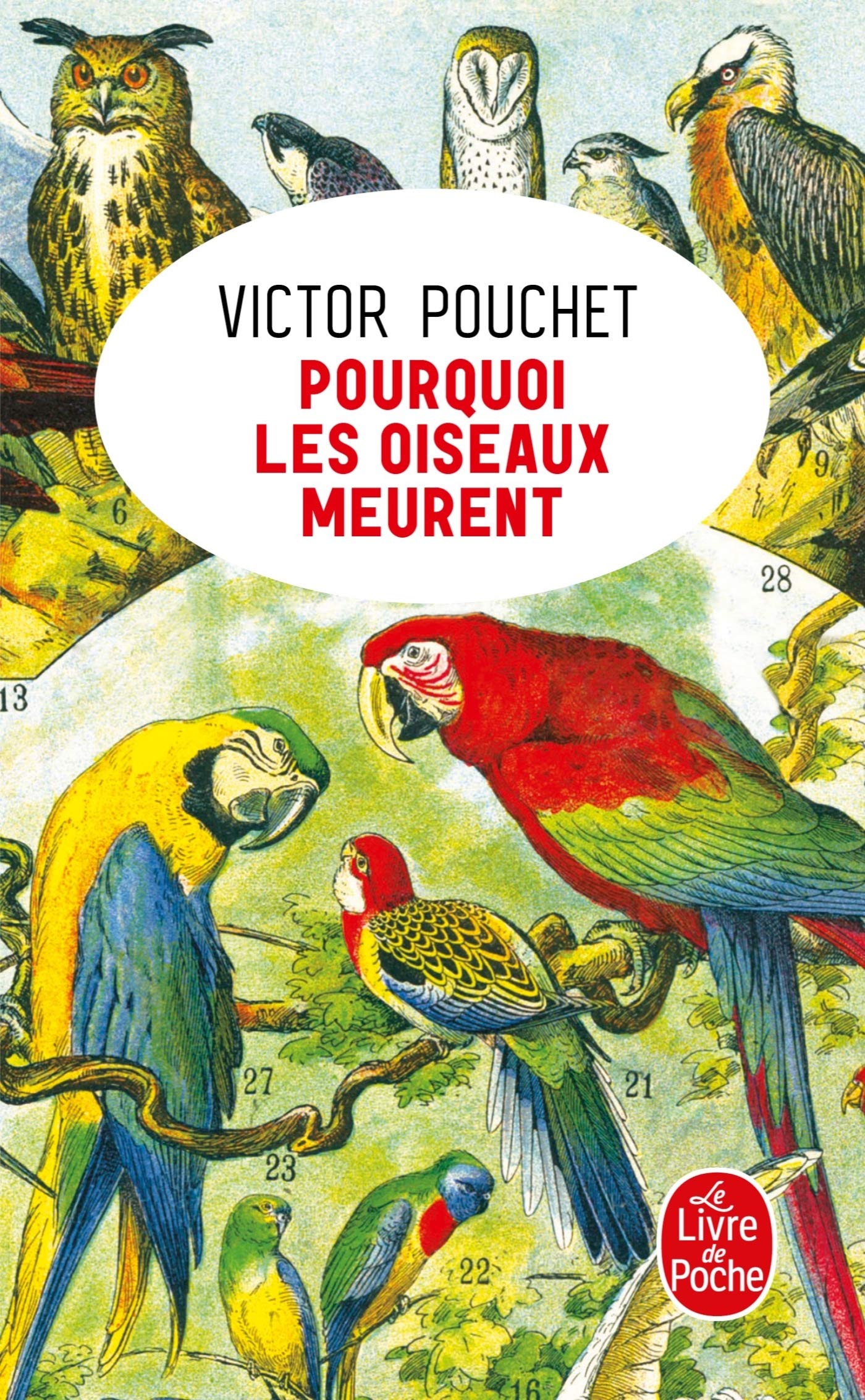 Pourquoi les oiseaux meurent - Livre d'occasion